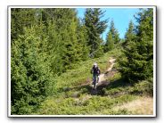 Downhill_Mountain-Bike-Woods